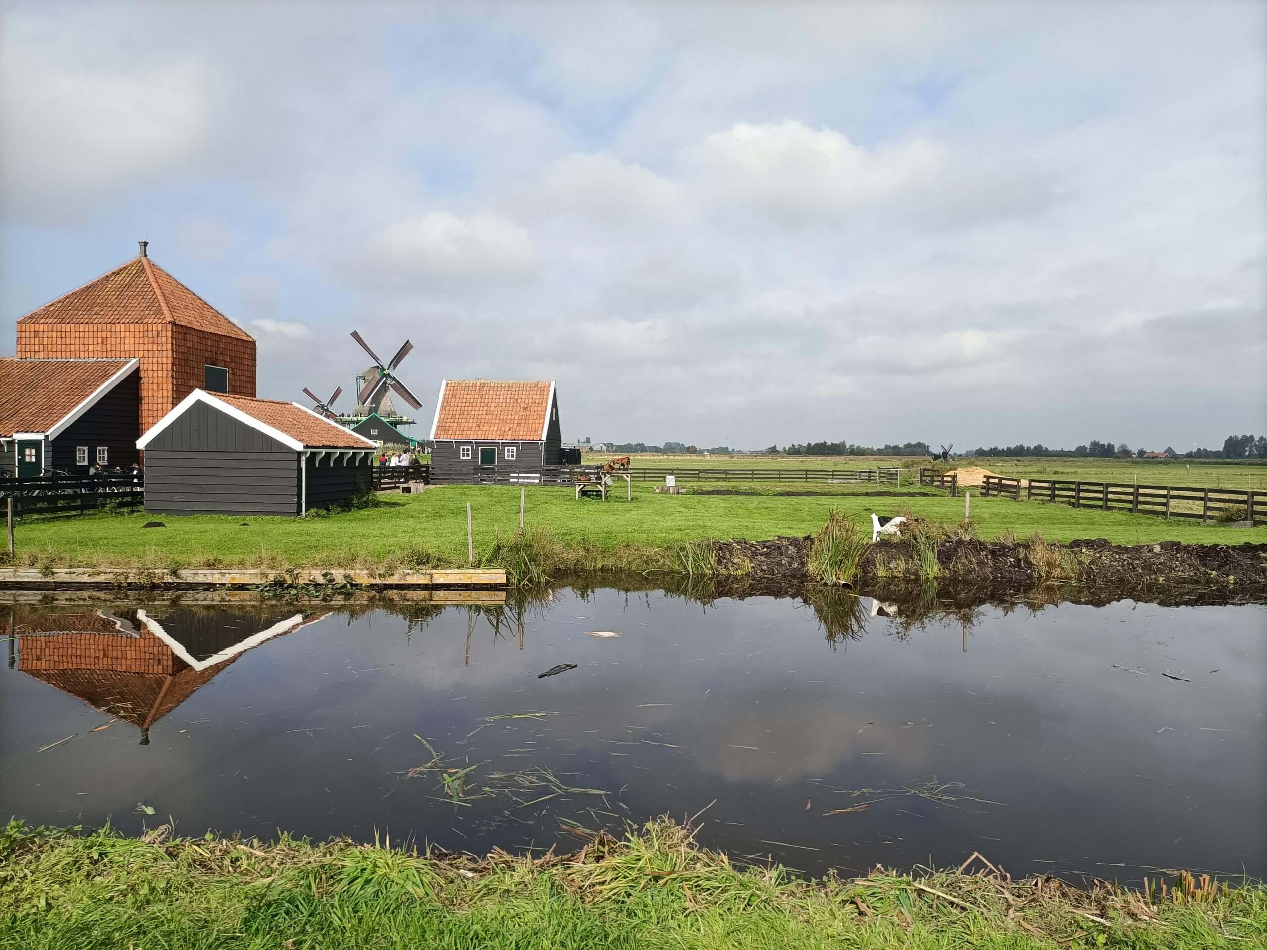 AMSTERDAM e Van Gogh