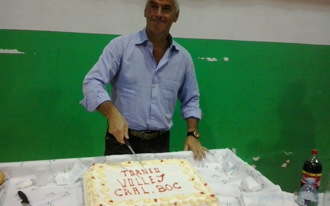 Volley 2013