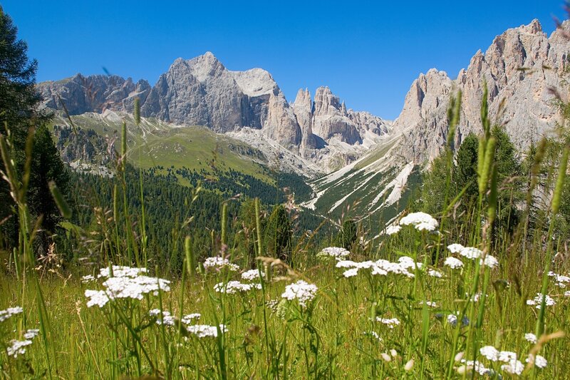 HOTEL REGINA ELENA- Caderzone Terme (TN)