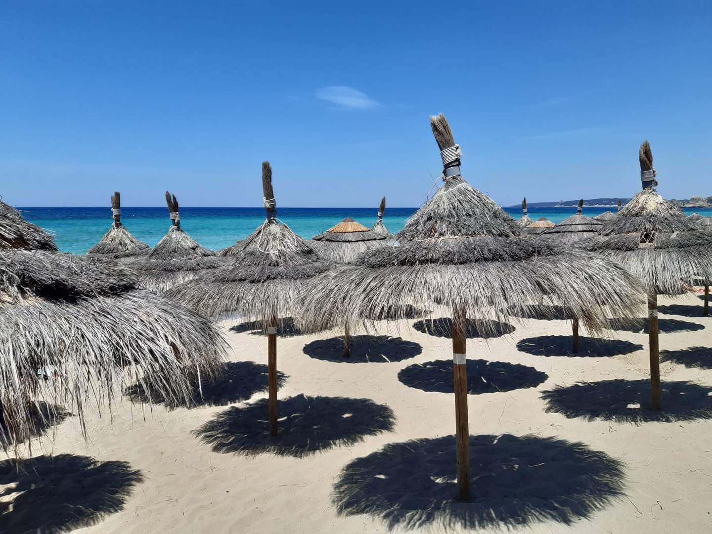SALENTO 2025: Affitto a colleghi appartamenti sul mare a Gallipoli