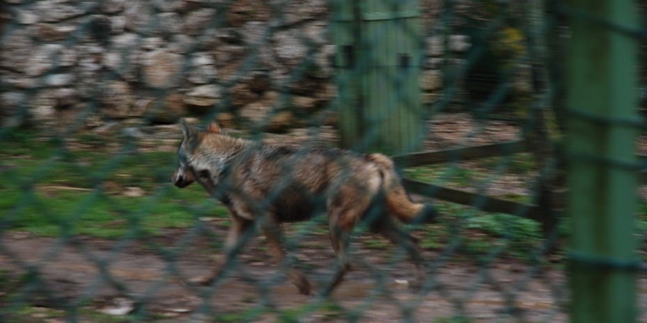 Parco Nazionale DAbruzzo