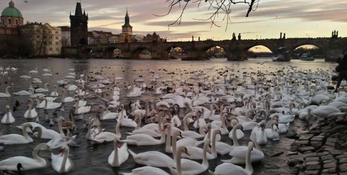 Praga